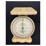 Primitive American Family Scale