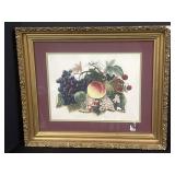 Framed Fruit and Vines Picture