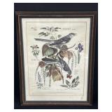 Framed Arthur Singer Bird Painting Print #4