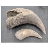 (2) Animal Horn cores 6in & 9in long