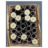 12 ga shotgun casing