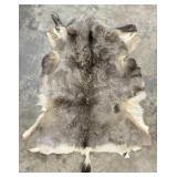 Deer Hide
