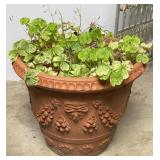 1 FT Floral Design Terracotta Planter with Plant