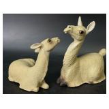 Pair of Llamas by Anthony Freeman