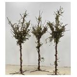 6 FT Welded Metal Decorative Trees