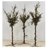 6 FT Welded Metal Decorative Trees