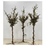 6 FT Welded Metal Decorative Trees