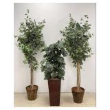 7 FT Faux Ficus & More