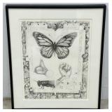 Original Graphite Pencil Illustration