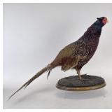 Antique Mounted Copper Pheasant