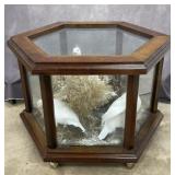 Vintage Taxidermy Ptarmigan in Display Table