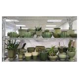Glazed & Ceramic Pots