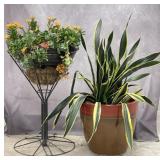 Glazed & Metal Frame Planters