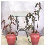Wrought Iron Glass Top Table & Plants