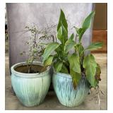 Glazed Ceramic Planters