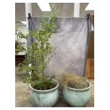 Glazed Ceramic Planters