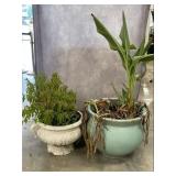 Glazed Planter & More