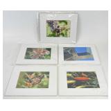 Signed & Matted Fine Art Photography - K Frederick