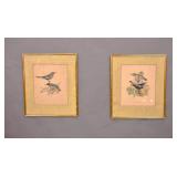 Pair of bird prints