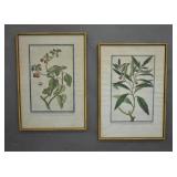 Pair of Botanical prints