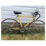 Freedom 10 Bicycle