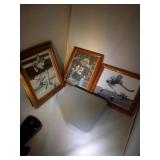 lot of 3 framed vintage Green Bay Packers photos