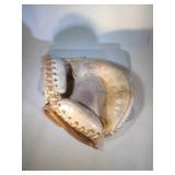 Rawlings Dick Dietz catchers mitt