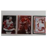 Detroit Red Wing Hockey cards including Franzen,