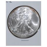 2002 American Silver Eagle Coin