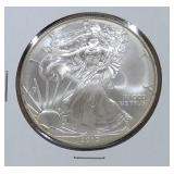 2010 American Silver Eagle Coin