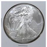 2013 American Silver Eagle Coin