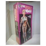 The Invisible Women-model of the human body