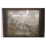 27in X 23in Deer Picture