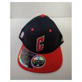 L/XL Chicago Bulls Ball Cap