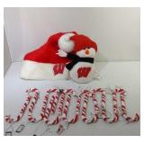 Wisconsin Badgers Santa hat, snowman and plastic