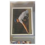 lot of 8 1993 cards - Topps, Topps Gold, Pinnacle