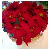 4 artifical 20 inch poinsettias