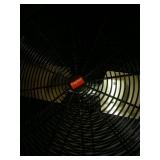 Dayton 30 inch blade commercial floor fan