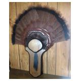 Turkey mount - 23 lbs with 10 inch beard Turkey mount - 23 lbs with 10 inch beard