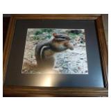 Chipmunk picture, extension cord, 2 TV trays and