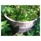 half wine barrell planter (by windmill)