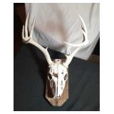 deer skull mount with piercing arrowhead