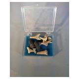 lot of shark tooth fossils