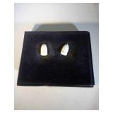 lot of 1864 Civil War Union mini balls with case