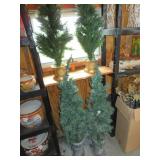 4 christmas trees in pots 48' & 32'