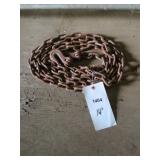 LOG CHAIN W/2 HOOKS 14'