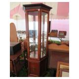 CURIO CABINET 24' X 72'