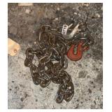 5/16 chain hook on both ends