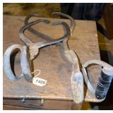 2 ice tongs