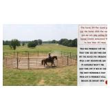 THE HORSE IN THE ROUND PEN